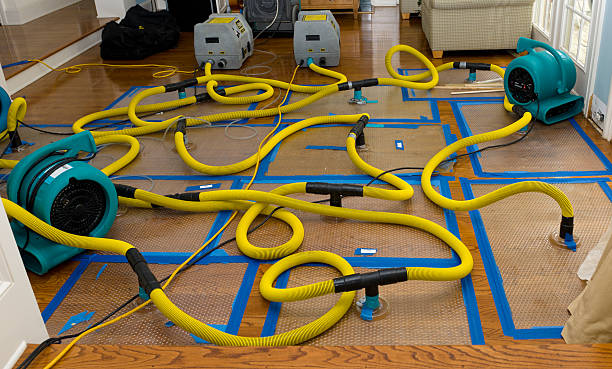 Professional Water Damage Repair technician working in Homer, LA